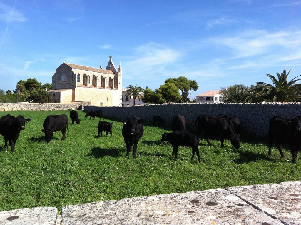 Llucmacanes Gran Agroturismo Маон Экстерьер фото